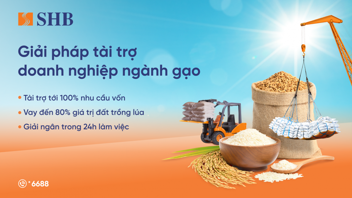 SHB ra mắt giải pháp tài trợ linh hoạt cho ngành gạo, đồng hành phát triển nông nghiệp bền vững