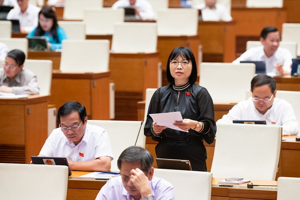 ĐBQH Nguyễn Thị Việt Nga (Hải Dương).