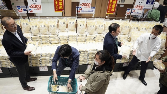 “Cơn bão” giá gạo tại Nhật Bản: Cơ hội cho gạo Việt Nam nâng tầm vị thế