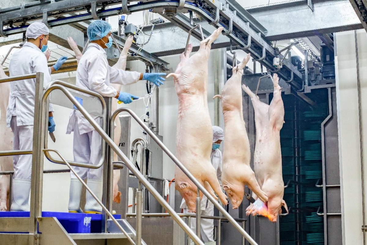 Dây chuyền sản xuất thịt ủ mát MEATDeli do Marel - công ty hàng đầu thế giới về thiết bị giết mổ, chế biến thịt của Hà Lan cung cấp