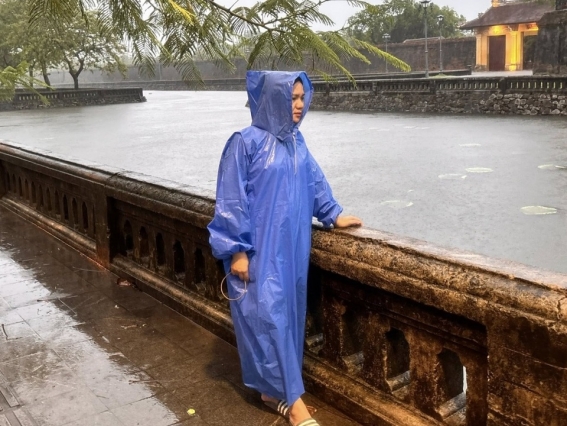 Người trồng sen Huế điêu đứng theo mưa lũ dị thường