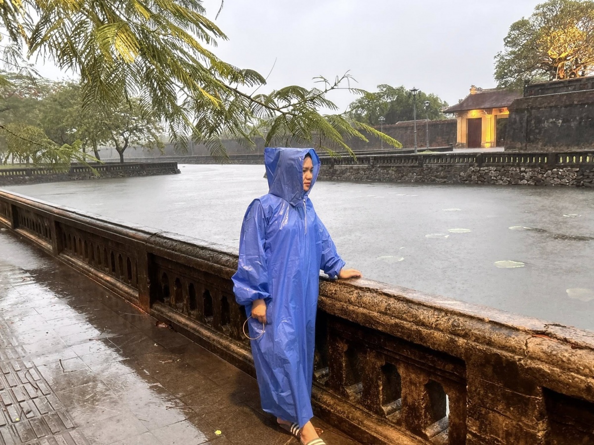 Người trồng sen Huế điêu đứng theo mưa lũ dị thường