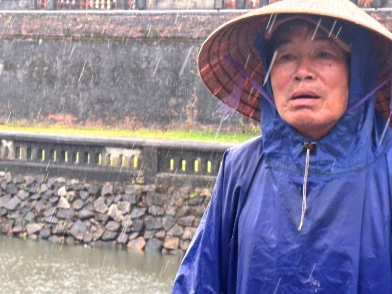 Người trồng sen Huế điêu đứng theo mưa lũ dị thường