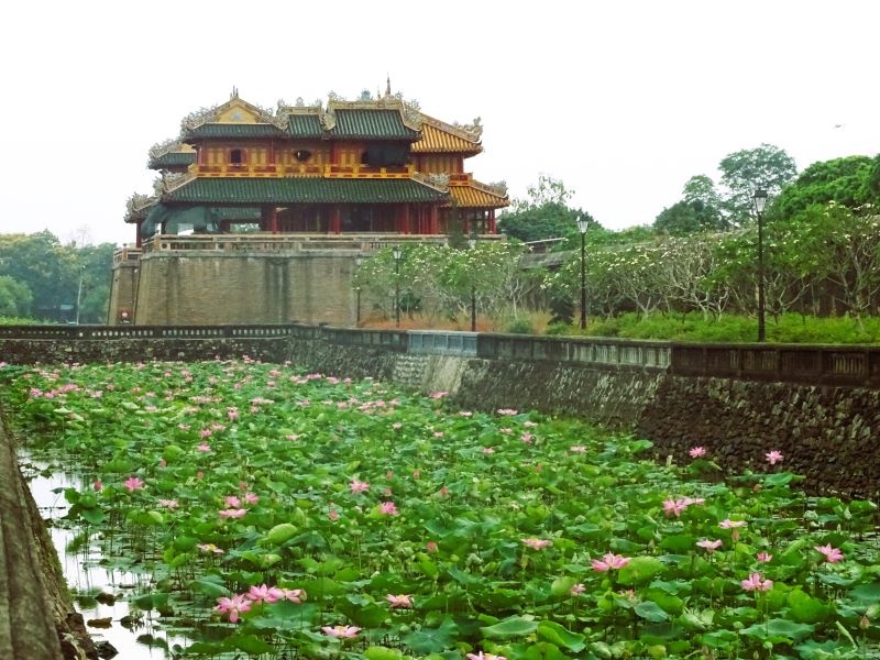 Người trồng sen Huế điêu đứng theo mưa lũ dị thường