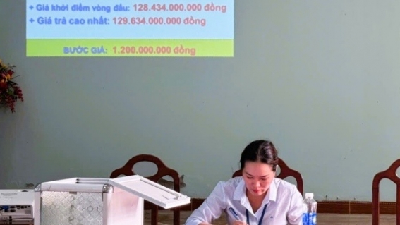 Hé mở 3 doanh nghiệp đấu giá các mỏ cát ở Quảng Nam với số tiền gần 1.000 tỷ đồng