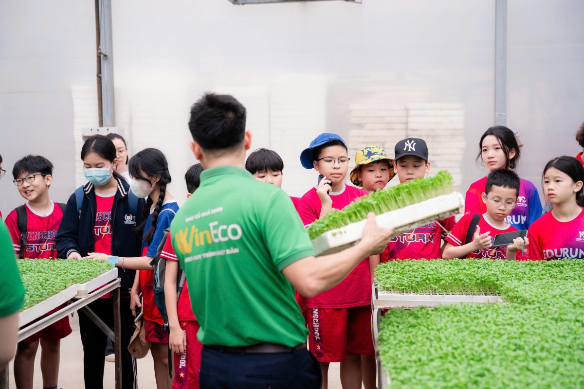 Các em học sinh tham quan nông trại WinEco