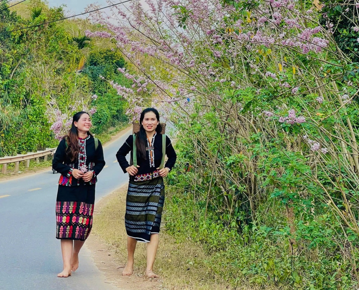 Uống cà phê Khe Sanh- kể chuyện lịch sử