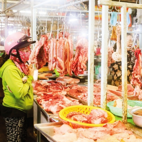 Phục hồi thị trường thịt heo: Từ “khủng hoảng kép” đến cơ hội bền vững