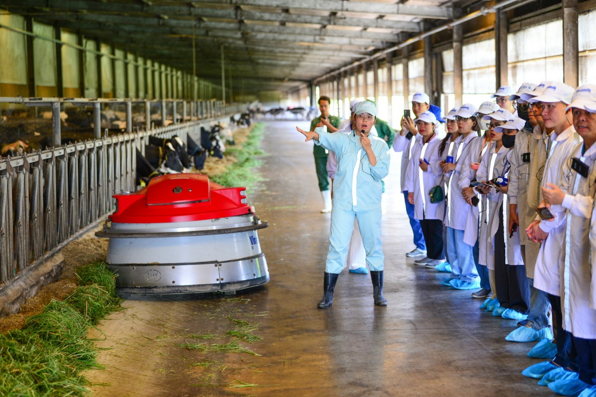 Vinamilk: “Hé lộ” quy mô trang trại thực và nỗi lo nguyên liệu