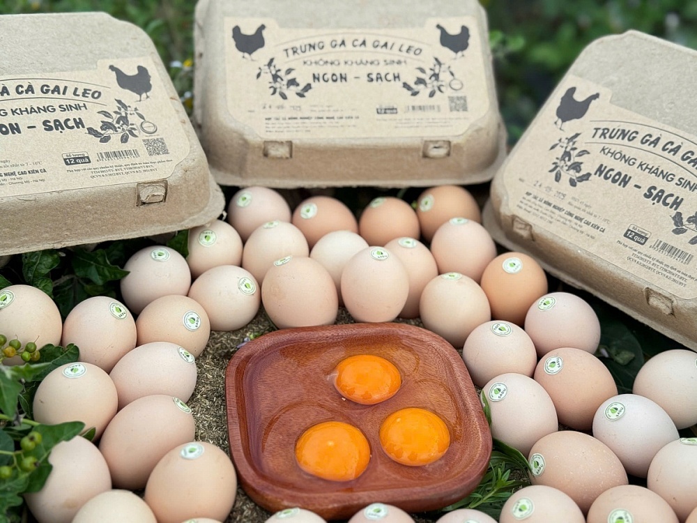Trứng gà cà gai leo Sadu đã được chứng nhận là thực phẩm sạch, an toàn, đạt chuẩn VietGAP và được công nhận là sản phẩm OCOP 4 sao của thành phố Hà Nội năm 2021. Ảnh: ĐVCC
