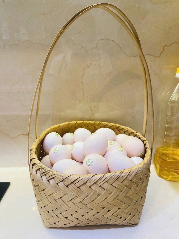 100% gà sadu được nuôi bằng cách cho ăn thảo dược kết hợp cùng nguồn ngô, thóc tự nhiên giúp gà mẹ có sức đề kháng tốt, không phải dùng tới kháng sinh. Ảnh: ĐVCC