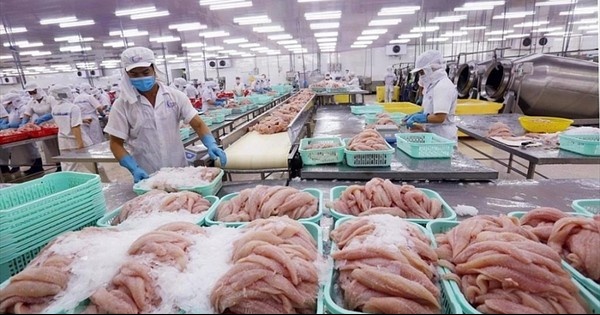 Quý kinh doanh kém sắc của doanh nghiệp thủy sản: Lợi nhuận 