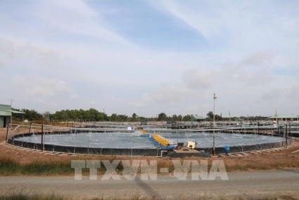 Huy động trên 90.740 tỷ đồng thực hiện phát triển kinh tế biển bền vững