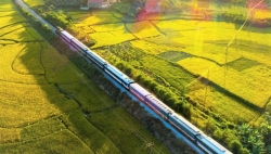 Nghiên cứu xây dựng đường sắt cao tốc 7 tỷ USD tuyến TP.HCM - Cần Thơ