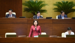 Cho thương hiệu khác sản xuất vàng miếng để kéo giảm giá vàng SJC?