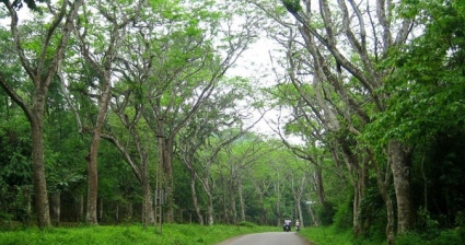 HSBC Vietnam Commits to Arranging US$12 Billion to Green Vietnam