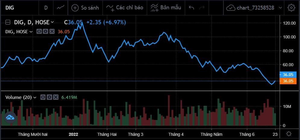Diễn biến gi&aacute; cổ phiếu DIG