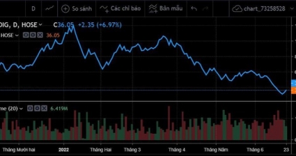 Đang ở đỉnh lịch sử, “gáo nước lạnh” từ báo cáo của VDSC định giá DIG giảm 70% có giúp nhiều cổ đông thoát lỗ?