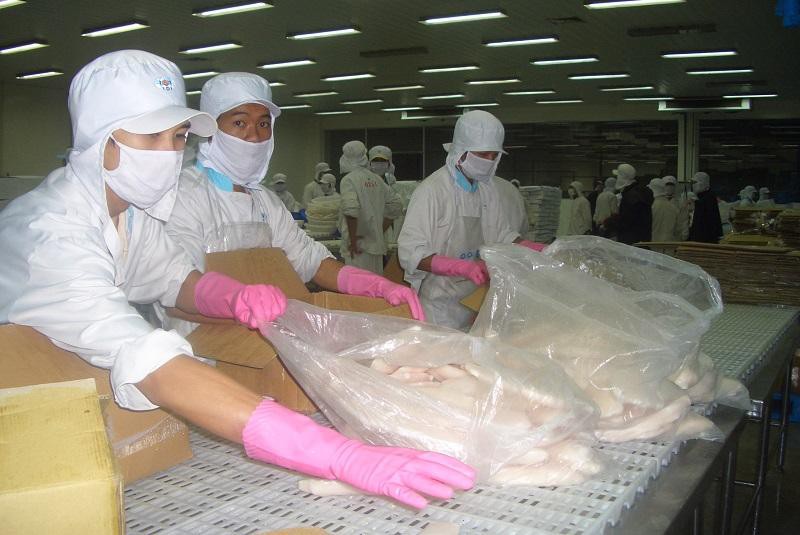 Trung b&igrave;nh c&aacute; tra b&aacute;n sang Mỹ đ&atilde; tăng từ 2,6-2,8 USD/kg l&ecirc;n 3,5-3,6 USD/kg