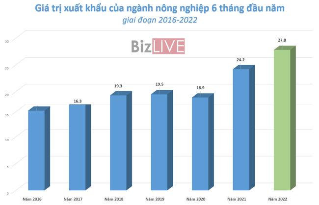 Xuất si&ecirc;u n&ocirc;ng l&acirc;m thủy sản nửa đầu năm gấp đ&ocirc;i c&ugrave;ng kỳ 2021, Mỹ l&agrave; thị trường lớn nhất ảnh 2