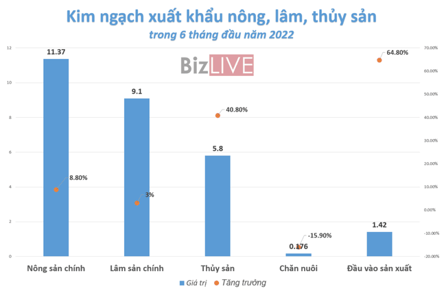 Xuất si&ecirc;u n&ocirc;ng l&acirc;m thủy sản nửa đầu năm gấp đ&ocirc;i c&ugrave;ng kỳ 2021, Mỹ l&agrave; thị trường lớn nhất ảnh 1