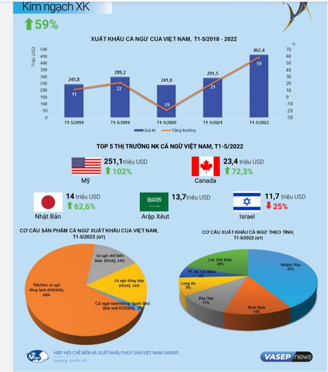 Xuất khẩu cá ngừ lo mất thị phần về tay doanh nghiệp Trung Quốc  ảnh 1