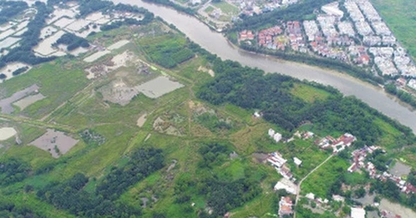 Cổ đông Quốc Cường Gia Lai (QCG) muốn cơ quan có thẩm quyền yêu cầu Sunny giao hồ sơ 65ha đất dự án Phước Kiển