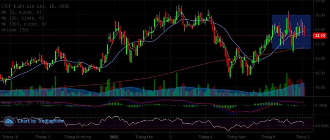 GEG gi&uacute;p bằng chứng về sức đề kh&aacute;ng của nh&oacute;m Năng lượng th&ecirc;m thuyết phục ảnh 1