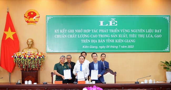 Lộc Trời và MBBank “bắt tay” sản xuất lúa gạo trên quy mô lớn tại Kiên Giang ảnh 1