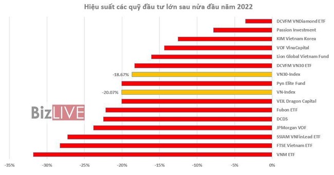 Quỹ n&agrave;o tr&ecirc;n thị trường chứng kho&aacute;n c&oacute; hiệu suất &amp;amp;quot;tệ&amp;amp;quot; nhất sau 6 th&aacute;ng đầu năm 2022? ảnh 1