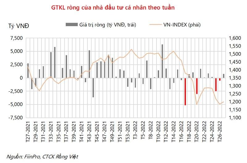VDSC nhận thấy lực b&aacute;n r&ograve;ng của nh&oacute;m nh&agrave; đầu tư c&aacute; nh&acirc;n c&oacute; xu hướng giảm theo thời gian khi thị trường c&oacute; những tuần điều chỉnh mạnh