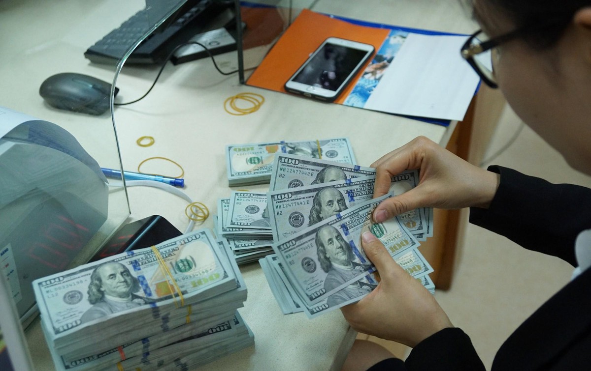 Kho bạc Nh&agrave; nước đ&atilde; c&oacute; 8 đợt ch&agrave;o mua ngoại tệ kể từ đầu năm 2022 (Ảnh minh họa)
