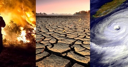 Vietnam Among the Most Vulnerable Countries to Climate Impacts