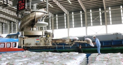 Phân bón Cà Mau (DCM): Doanh thu nửa năm đạt hơn 8.200 tỷ đồng, tăng 91% so với cùng kỳ năm 2021