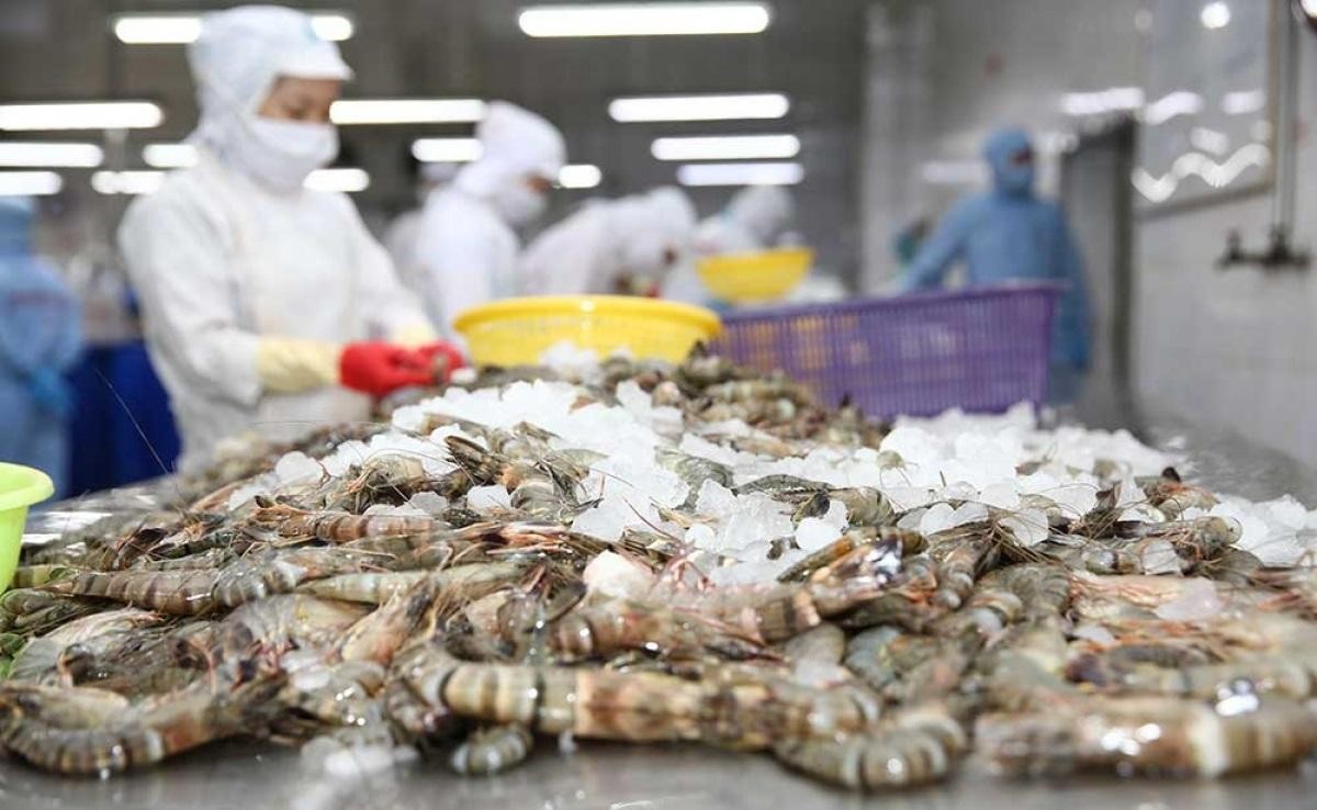 T&ocirc;m hiện l&agrave; mặt h&agrave;ng xuất khẩu mang lại doanh thu lớn nhất trong tổng cơ cấu doanh thu xuất khẩu thủy sản của Việt Nam (Ảnh minh họa)