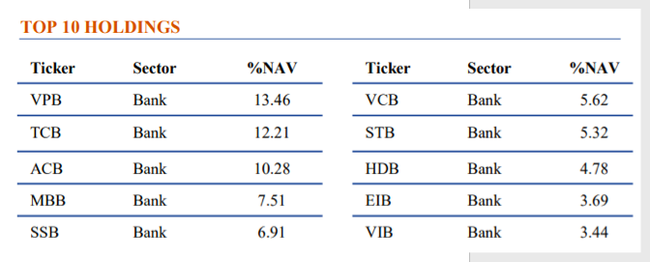 Cổ phiếu ng&acirc;n h&agrave;ng chiếm 90% danh mục, ETF KIM Growth VNFINSELECT c&oacute; g&igrave; hấp dẫn? ảnh 2