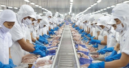 Vĩnh Hoàn (VHC) lãi ròng gấp 3 cùng kỳ, dòng tiền kinh doanh vẫn âm 300 tỷ