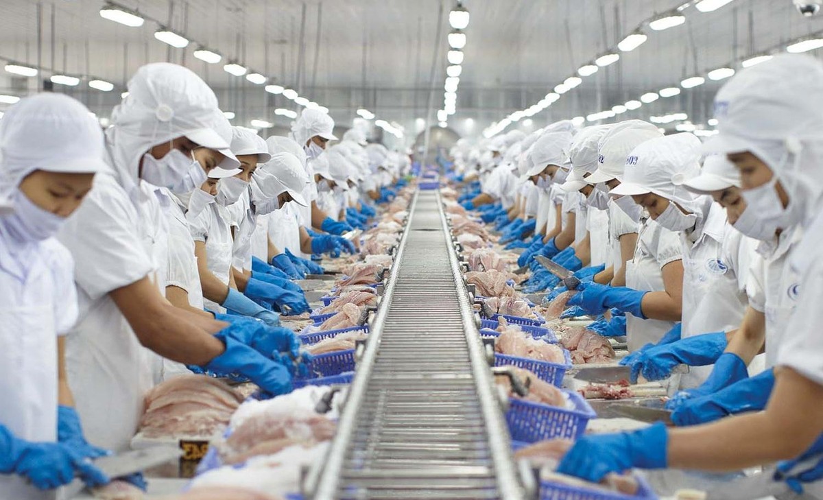 Sản lượng v&agrave; gi&aacute; b&aacute;n tăng mạnh gi&uacute;p Vĩnh Ho&agrave;n l&atilde;i r&ograve;ng 788 tỷ đồng trong qu&yacute; 2/2022, tăng 203% so với c&ugrave;ng kỳ (Ảnh minh họa)