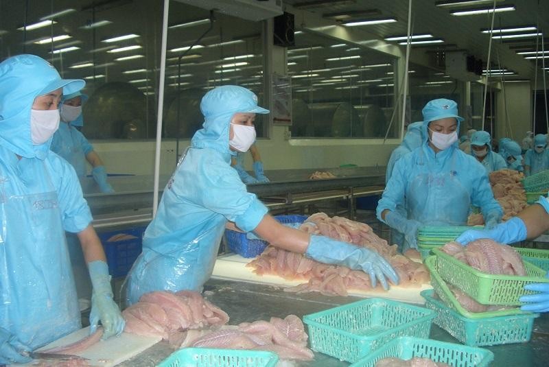 Gi&aacute; c&aacute; tra xuất khẩu sang thị trường Mỹ sẽ được điều chỉnh cho ph&ugrave; hợp trong nửa cuối năm nay (Ảnh minh họa)