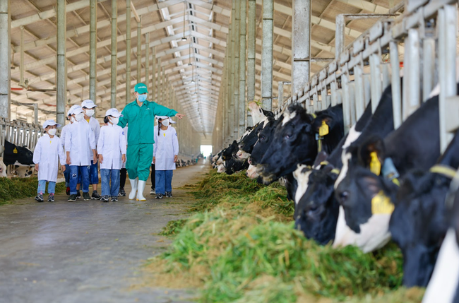 Vinamilk và Quỹ sữa Vươn cao Việt Nam tổ chức nhiều hoạt động đồng hành nhân dịp 15 thành lập ảnh 4