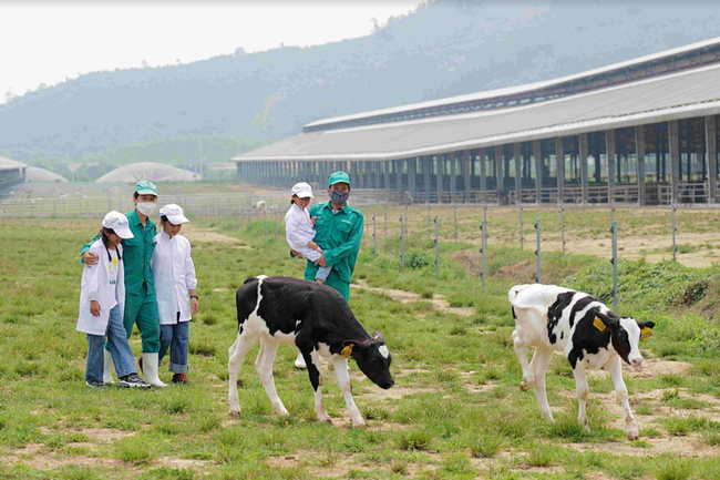 Vinamilk và Quỹ sữa Vươn cao Việt Nam tổ chức nhiều hoạt động đồng hành nhân dịp 15 thành lập ảnh 5