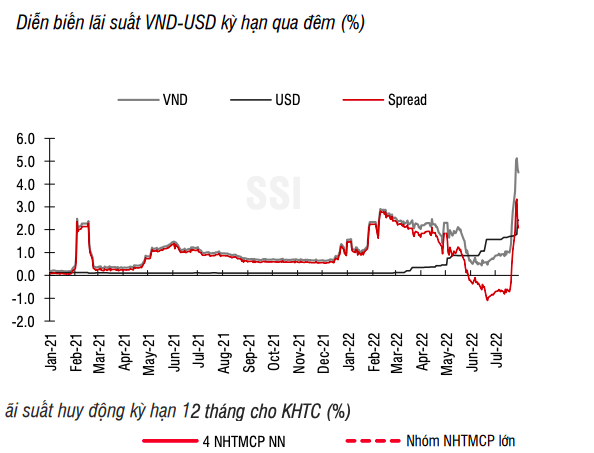 SSI Research: Thanh khoản hệ thống ng&acirc;n h&agrave;ng vẫn đang chịu &aacute;p lực ảnh 1