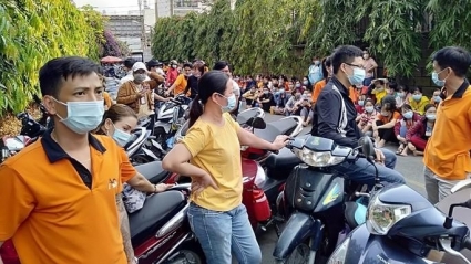 TP.HCM: 971 doanh nghiệp nợ BHXH trên 6 tháng