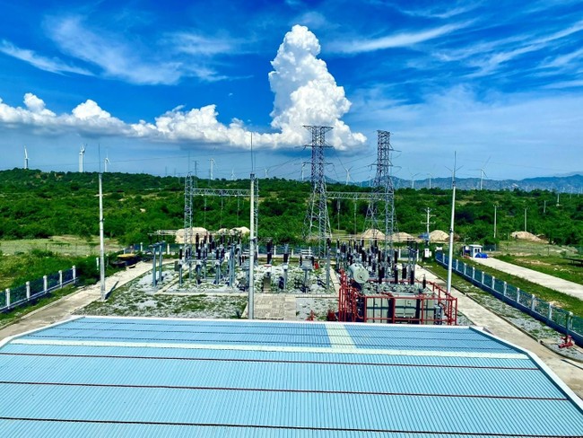 Dấu ấn TNPower - Doanh nghiệp Việt vừa nhận giải thưởng AREA trong lĩnh vực năng lượng sạch ảnh 2