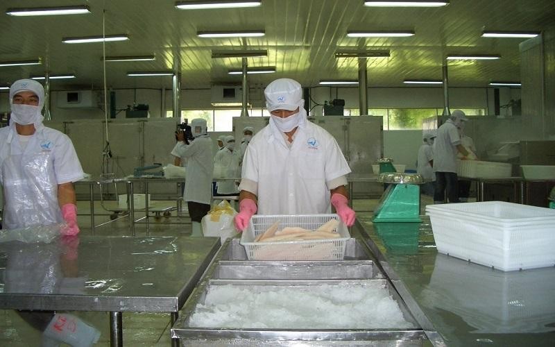 Trong &ldquo;cơn b&atilde;o&rdquo; lạm ph&aacute;t, phi l&ecirc; c&aacute; tra đ&ocirc;ng lạnh c&oacute; nhiều lợi thế. Ảnh: Nguyễn Huyền