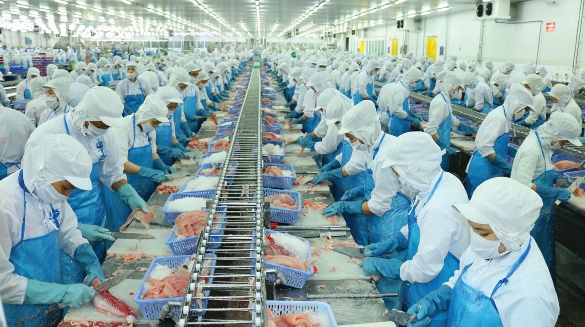 VHC c&oacute; thể đ&atilde; h&igrave;nh th&agrave;nh đ&aacute;y cứng sau 2 lần chạm MA200