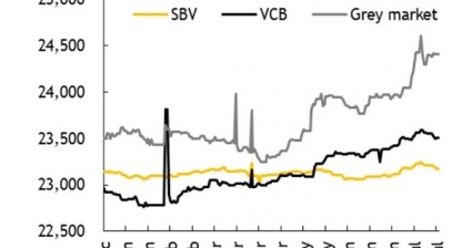 Kỳ vọng sức mạnh dài hạn của đồng Việt Nam