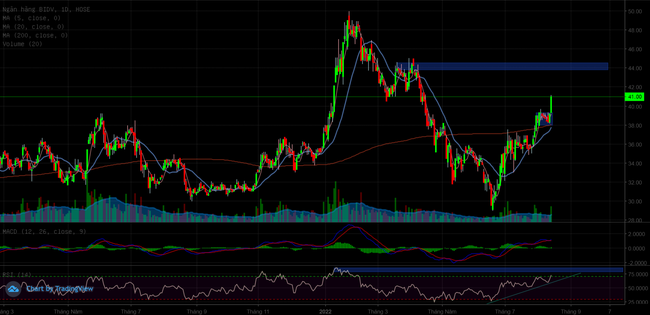 Cổ phiếu BID: Cơ hội ph&iacute;a trước khi đ&atilde; c&oacute; &amp;amp;quot;của ăn của để&amp;amp;quot;? ảnh 1