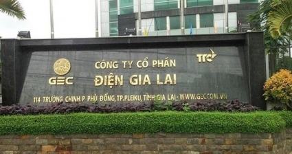 Điện Gia Lai bán 35% cổ phần cho tập đoàn điện lực Nhật Bản