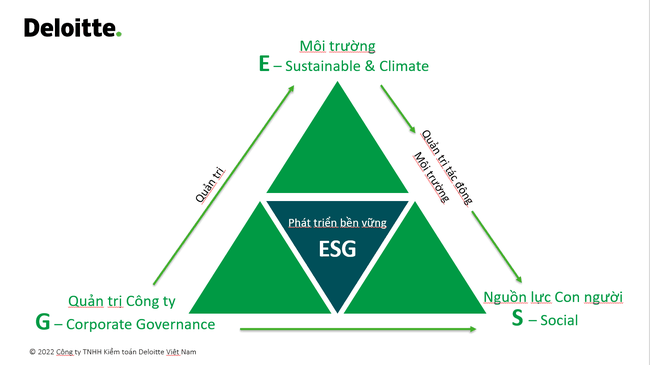 &quot;Văn hoá là thứ duy nhất đối thủ cạnh tranh không thể lấy được từ doanh nghiệp&quot; ảnh 3